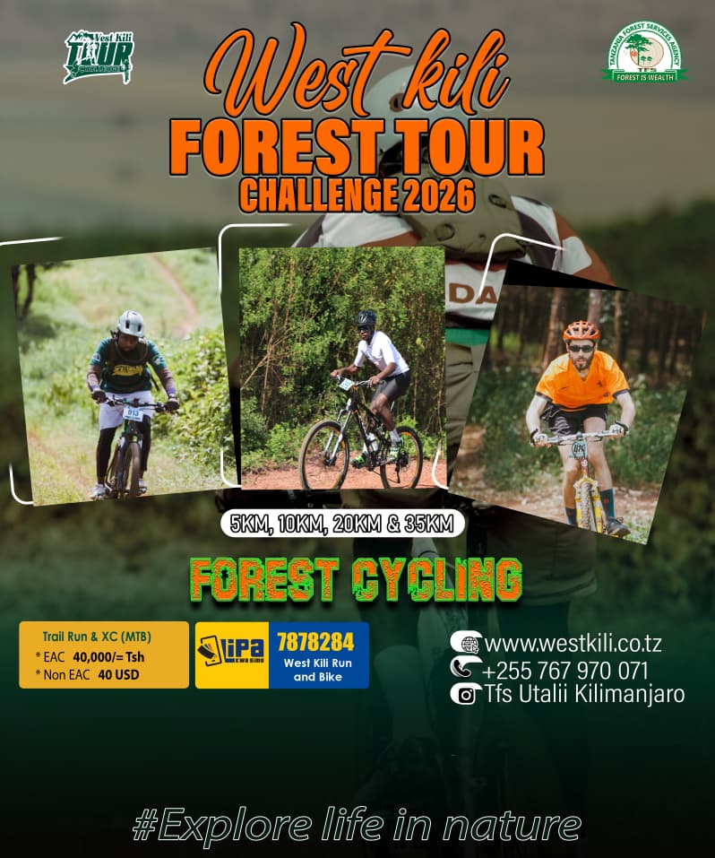 Forest Cycling 🌲 poster